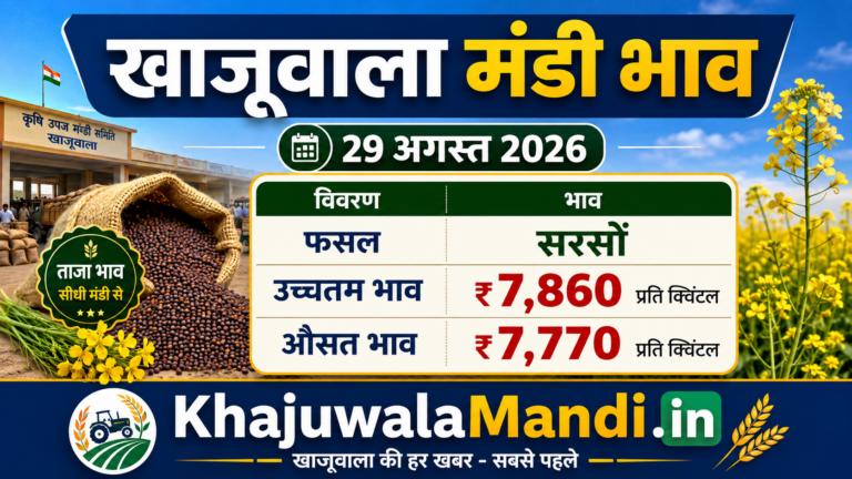खाजूवाला मंडी सरसों भाव 29 अगस्त 2026