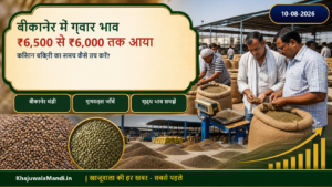 बीकानेर में ग्वार भाव ₹6,500 से ₹6,000 तक आया, किसान बिक्री का समय कैसे तय करें?