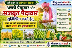 किसान खेत में फसल की देखभाल करता हुआ