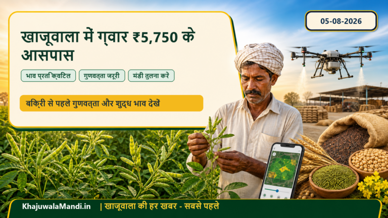 खाजूवाला में ग्वार भाव ₹5,750 के आसपास, अगस्त की शुरुआत की चाल किसानों को क्या संकेत देती है?