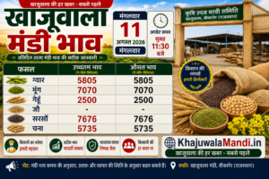 खाजूवाला मंडी भाव 11 अगस्त 2026