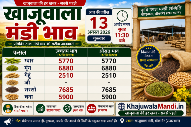 खाजूवाला मंडी भाव 13 अगस्त 2026