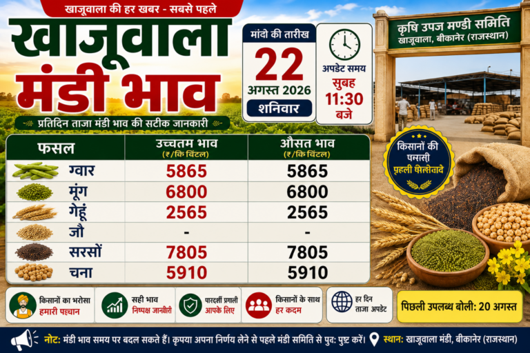 खाजूवाला मंडी भाव 22 अगस्त 2026