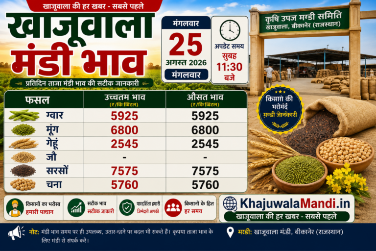 खाजूवाला मंडी भाव 25 अगस्त 2026