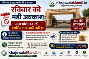 रविवार के मंडी अवकाश के कारण बोली बंद रहने की सूचना