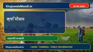 खाजूवाला के किसानों के लिए मौसम चेकलिस्ट: स्प्रे, सिंचाई और कटाई से पहले चार जरूरी जाँच