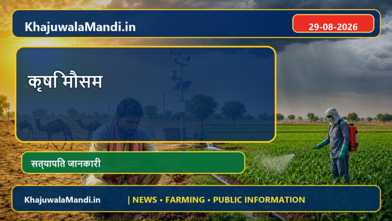 खाजूवाला के किसानों के लिए मौसम चेकलिस्ट: स्प्रे, सिंचाई और कटाई से पहले चार जरूरी जाँच
