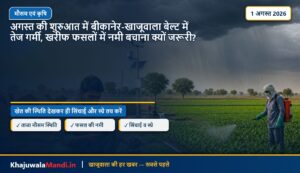 अगस्त की शुरुआत में बीकानेर-खाजूवाला बेल्ट में तेज गर्मी, खरीफ फसलों में नमी बचाना क्यों जरूरी?