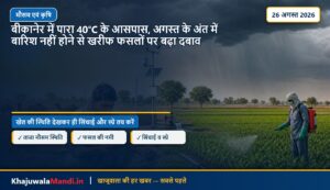 बीकानेर में पारा 40°C के आसपास, अगस्त के अंत में बारिश नहीं होने से खरीफ फसलों पर बढ़ा दबाव