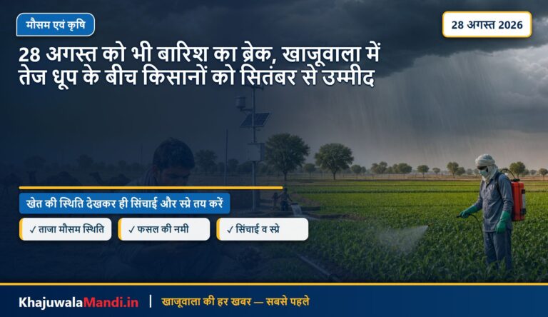 28 अगस्त को भी बारिश का ब्रेक, खाजूवाला में तेज धूप के बीच किसानों को सितंबर से उम्मीद