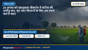 29 अगस्त को खाजूवाला-बीकानेर में बारिश की उम्मीद कम, मूंग-ग्वार किसानों के लिए अब सबसे जरूरी क्या?