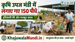 खाजूवाला कृषि उपज मंडी में पर्यावरण संरक्षण की पहल, लगाए गए 150 पौधे