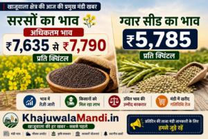 खाजूवाला मंडी में सरसों और ग्वार सीड के भाव