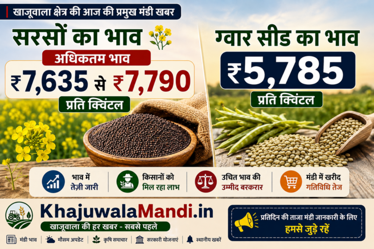 खाजूवाला मंडी में सरसों और ग्वार सीड के भाव