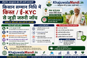 PM Kisan में e-KYC और किस्त स्थिति की जाँच