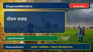 राजस्थान में हवा और बारिश की स्थिति: खाजूवाला के किसान स्प्रे व सिंचाई से पहले यह सावधानी रखें