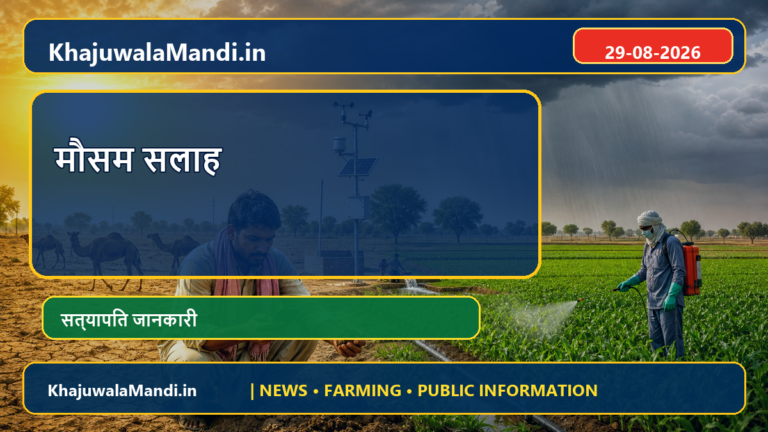 राजस्थान में हवा और बारिश की स्थिति: खाजूवाला के किसान स्प्रे व सिंचाई से पहले यह सावधानी रखें