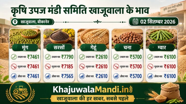 खाजूवाला मंडी भाव 2 सितंबर 2026 में मूंग, सरसों, गेहूं, चना और ग्वार के भाव