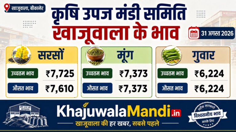 खाजूवाला मंडी भाव 31 अगस्त 2026: सरसों ₹7,725, मूंग ₹7,373 और ग्वार ₹6,224