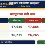 खाजूवाला मंडी भाव 1 सितंबर 2026 में सरसों और ग्वार के औसत, उच्चतम व न्यूनतम भाव