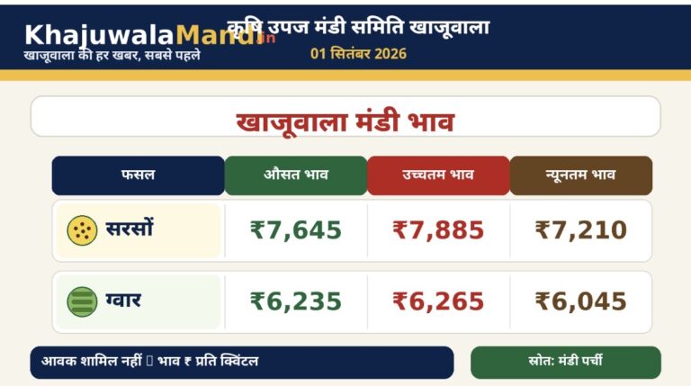 खाजूवाला मंडी भाव 1 सितंबर 2026 में सरसों और ग्वार के औसत, उच्चतम व न्यूनतम भाव